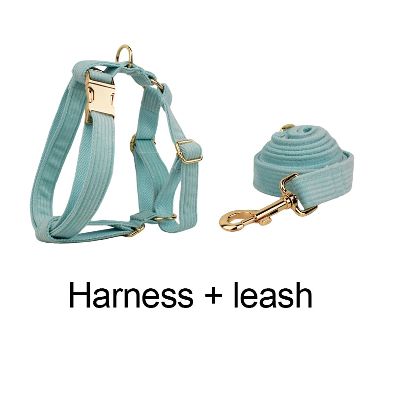 Lake Green Corduroy Personalized Dog Collar, Leash & Harness Set