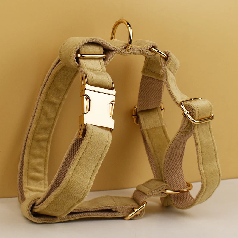 Nude Velvet Personalized Dog Collar, Leash & Harness Set