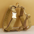 Nude Velvet Personalized Dog Collar, Leash & Harness Set
