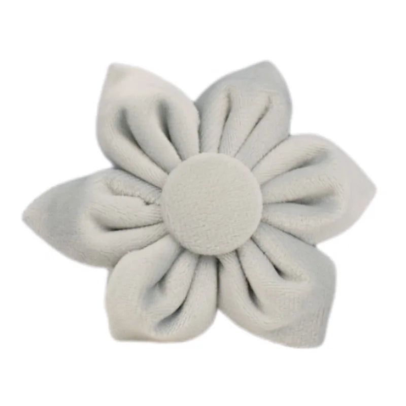 Light Blue Velve Personalized Dog Collar, Leash & Harness Set