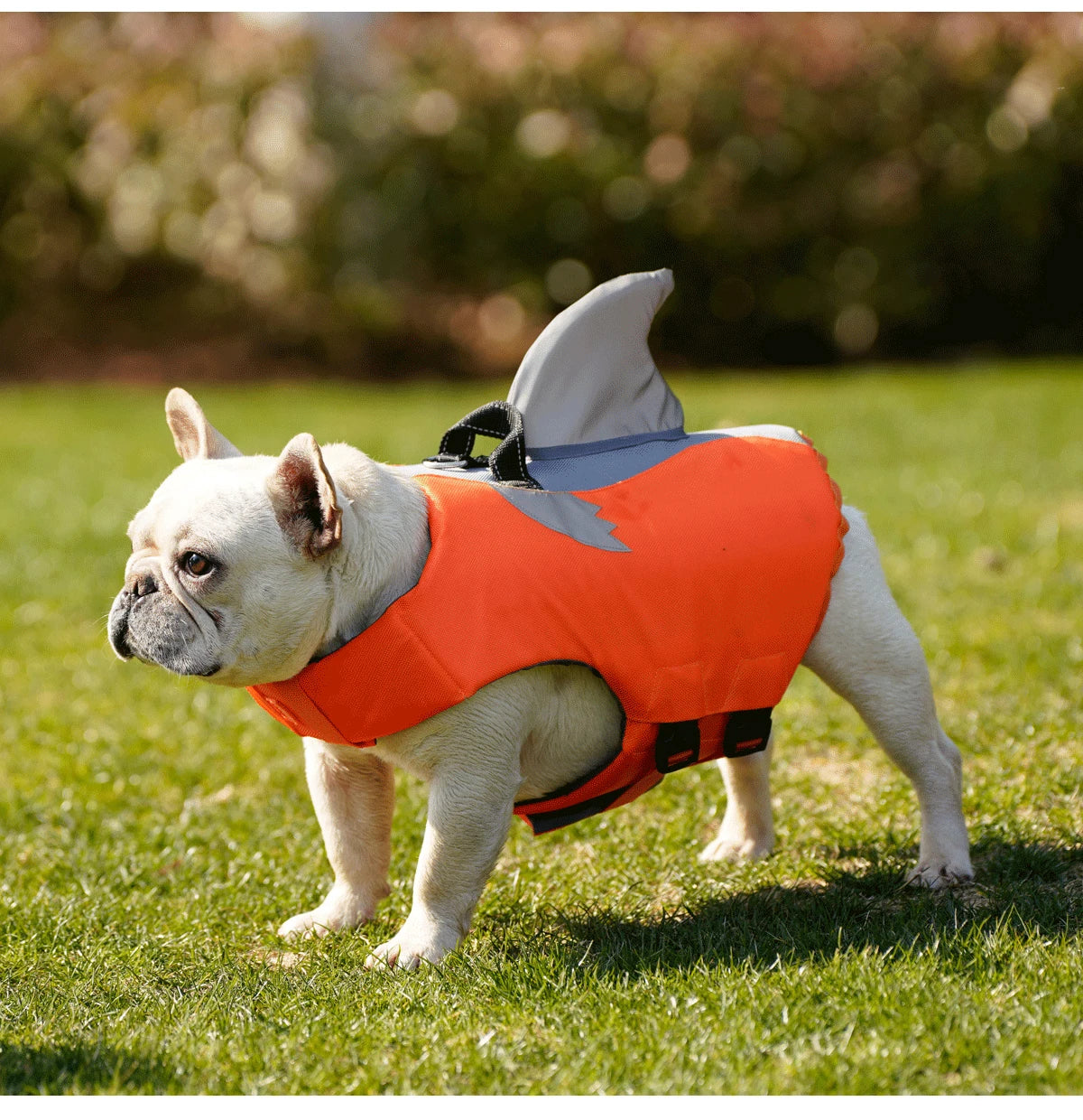 High Buoyancy Dog Life Jacket – Reflective Safety Vest with Rescue Handle for Small, Medium & Large Dogs