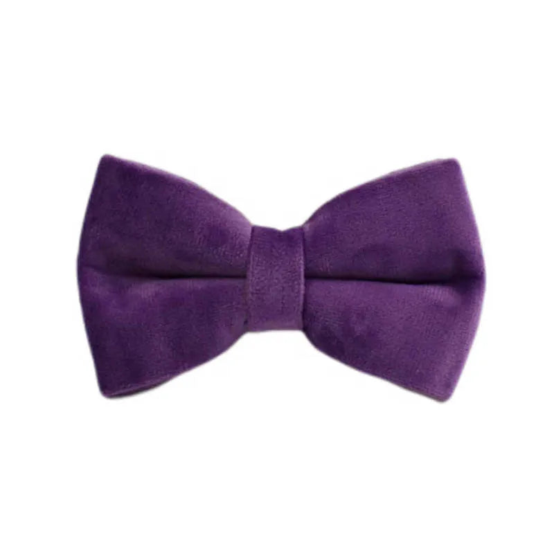 Purple Velvet Personalized Dog Collar, Leash & Harness Set