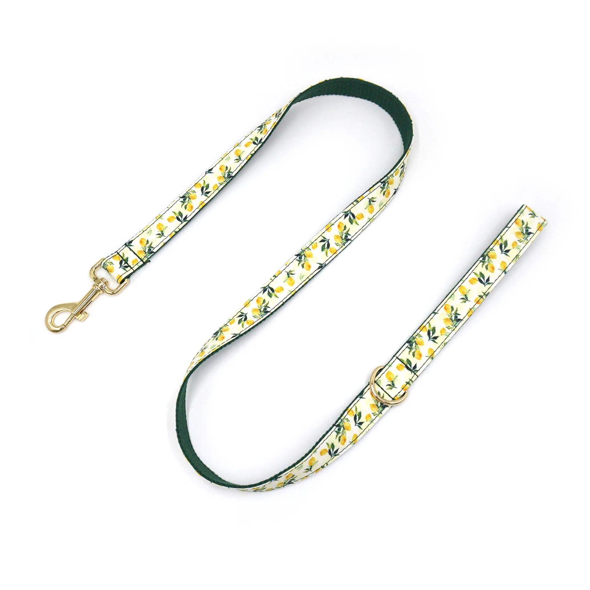 Summer Fruit Personalized Dog Bowtie Collar and Leash Set, Custom Laser Pet Necklace, Cute Pet Accessory