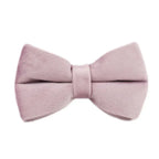 DDPaws  Bowtie / XS Deep Purple Velvet Set