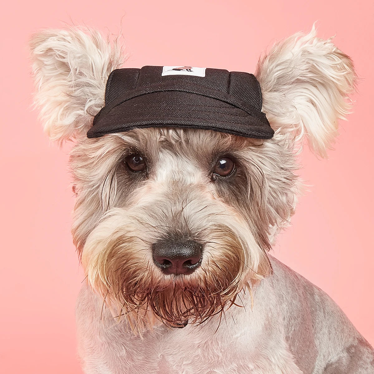 Dog Sun Hat – Adjustable Canvas Baseball Cap for Small & Medium Dogs