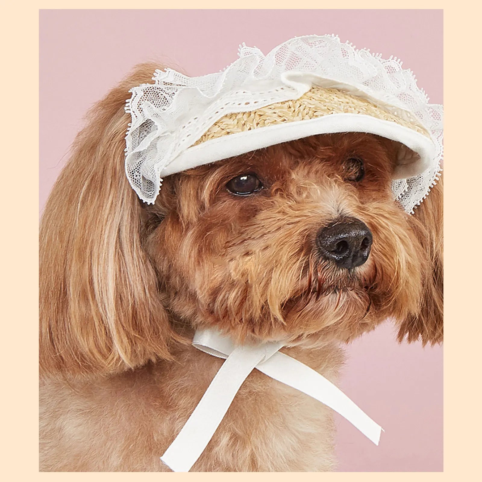 Summer Pet Sun Hat – Adjustable Lace Bow Cap for Dogs & Cats