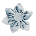 DDPaws  Flower / XS Dusty Blue Velvet Set