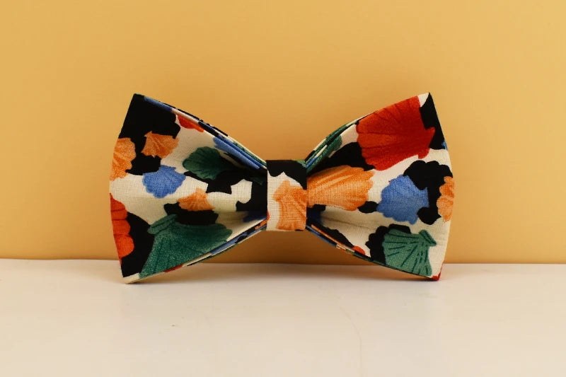 Personalized Dog Collar, Leash & Harness Set