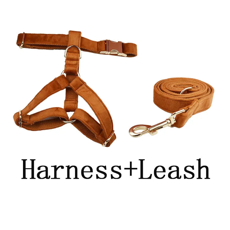 Ancient Pottery Velvet Personalized Dog Collar, Leash & Harness Set