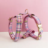 Harness