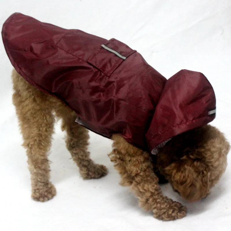 Waterproof Dog Raincoat with Reflective Stripe – Lightweight Hooded Poncho for All Seasons