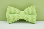 Apple Fruit Green Corduroy Personalized Dog Collar, Leash & Harness Set