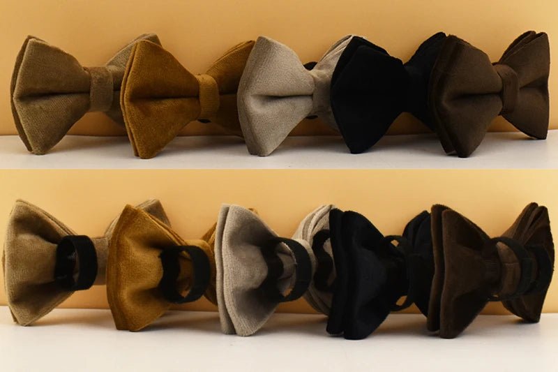 High Quality Dog Collar & Leash Set – Personalized Engraved Nameplate, Padded