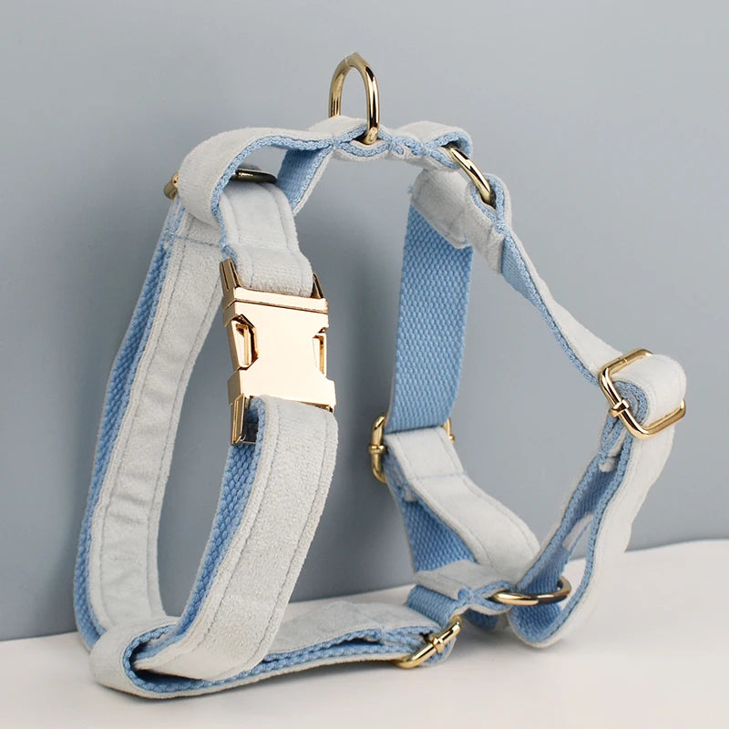 Light Blue Velve Personalized Dog Collar, Leash & Harness Set