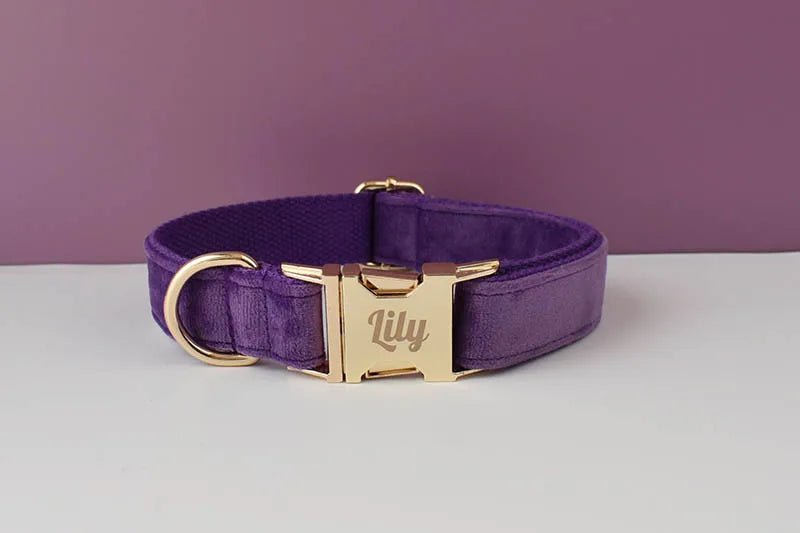 Purple Velvet Personalized Dog Collar, Leash & Harness Set