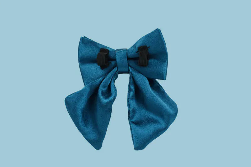 Personalized Dog Collar, Leash & Harness Set