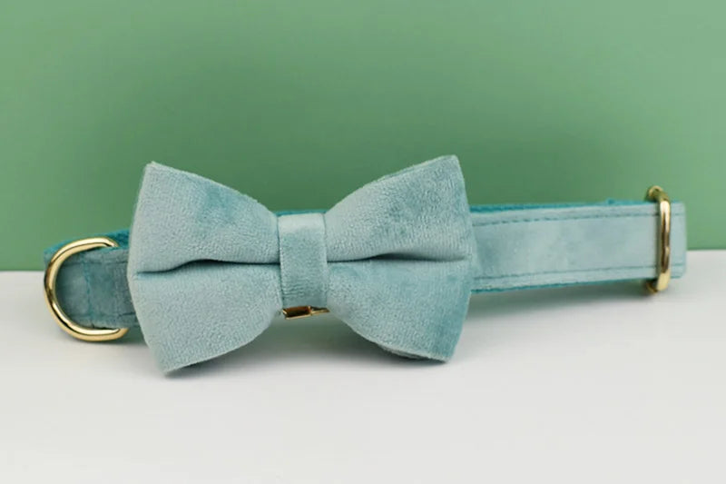 Green Velvet Personalized Dog Collar, Leash & Harness Set