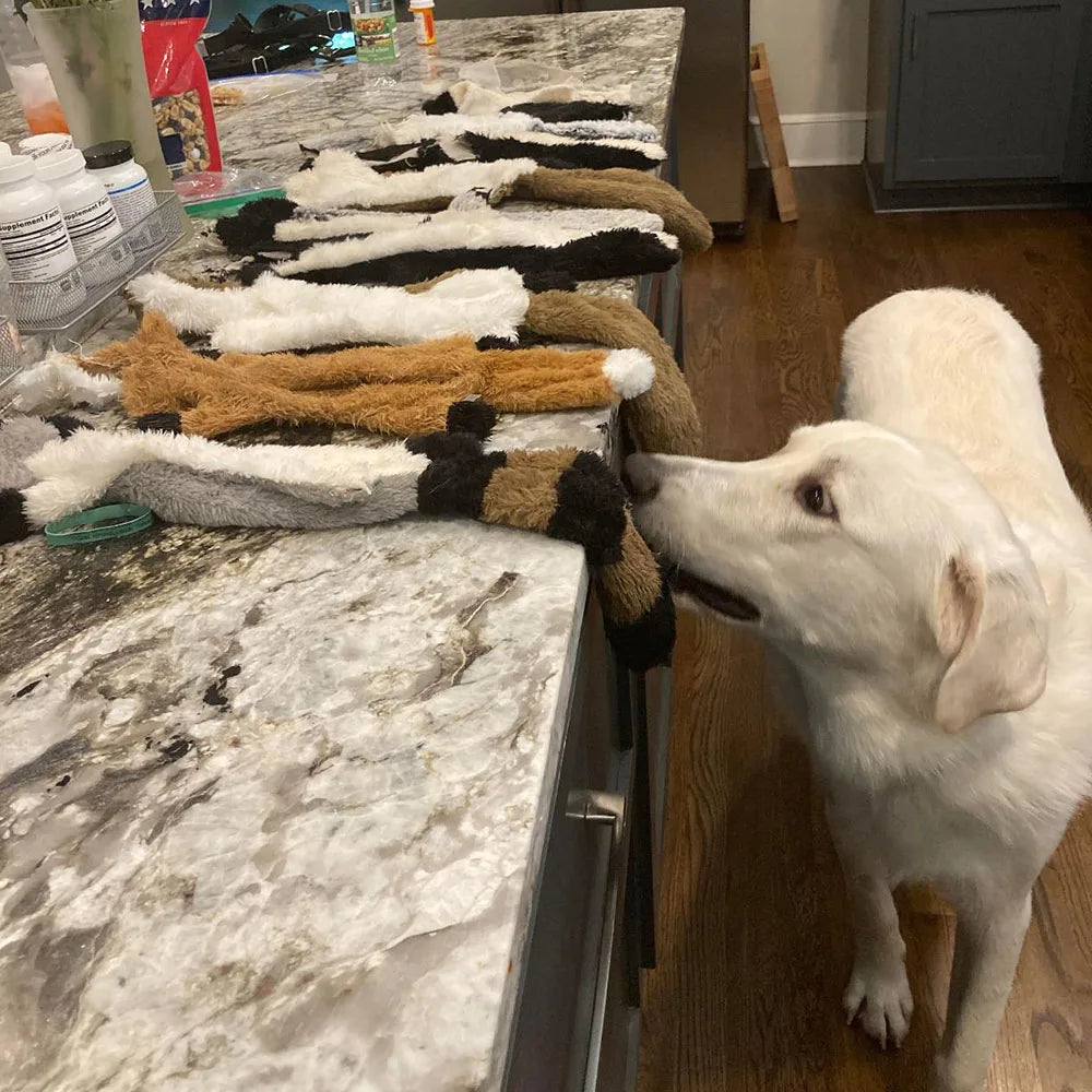 Funny Stuffing-Free Squeaky Dog Toy – Durable Plush Crinkle Animal Toy