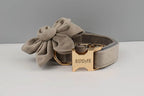 Light grey Velvet Personalized Dog Collar, Leash & Harness Set