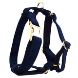 Harness