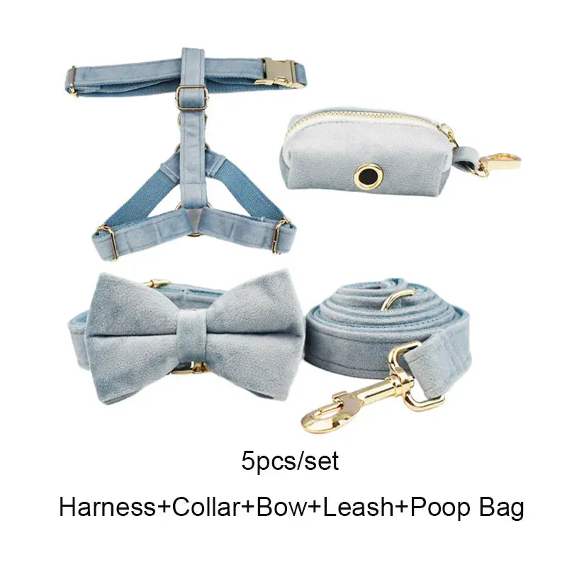 DDPaws  Collar + Harness + Leash + Bowtie + Poop Bag / XS Dusty Blue Velvet Set