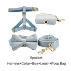 DDPaws  Collar + Harness + Leash + Bowtie + Poop Bag / XS Dusty Blue Velvet Set