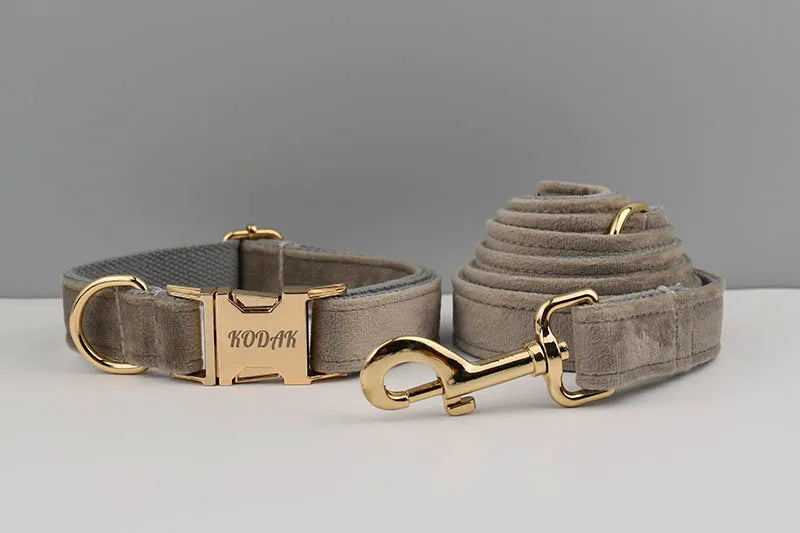 Light grey Velvet Personalized Dog Collar, Leash & Harness Set