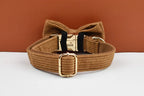 Caramel Corduroy Personalized Dog Collar, Leash & Harness Set