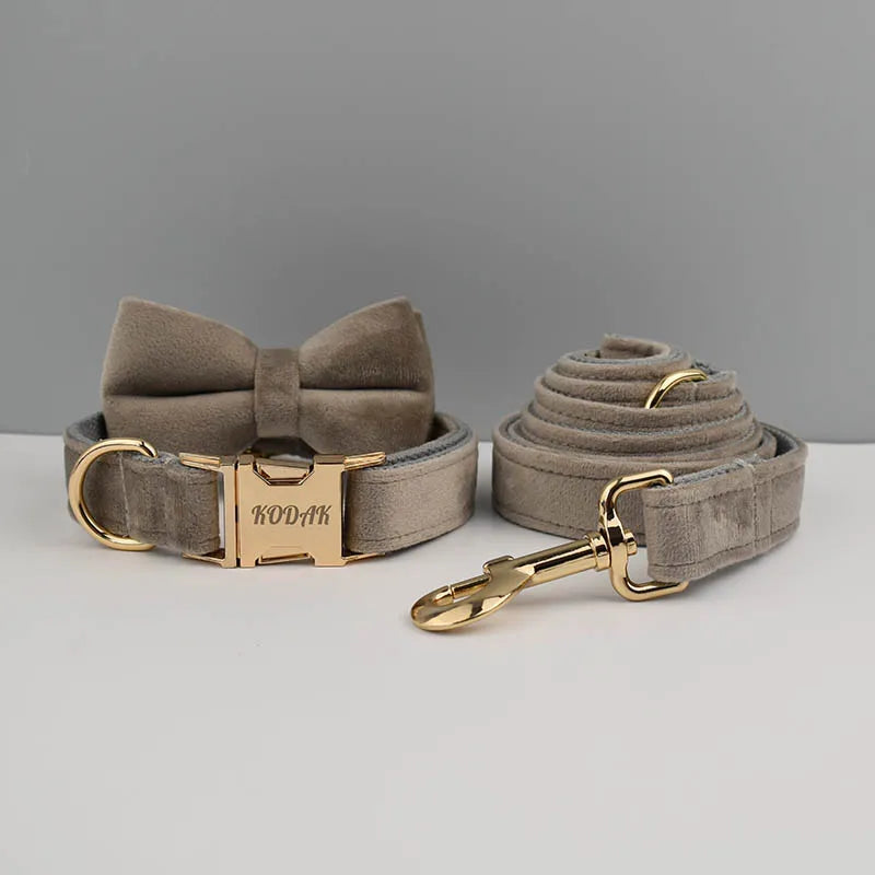 High Quality Dog Collar & Leash Set – Personalized Engraved Nameplate, Padded