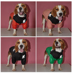 Winter Warm Dog Jacket | Thick, Windproof Coat