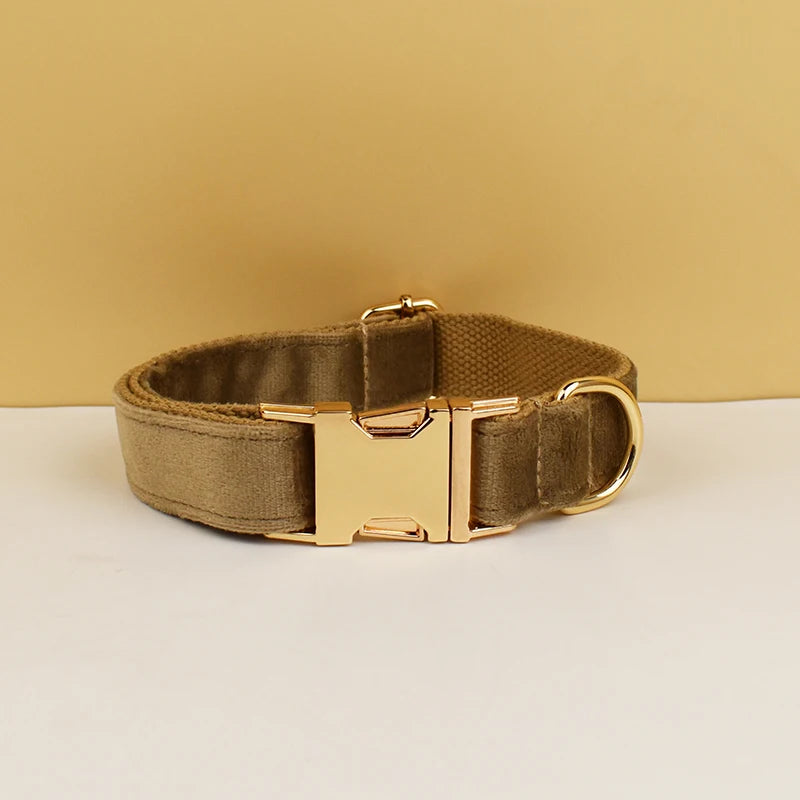 High Quality Dog Collar & Leash Set – Personalized Engraved Nameplate, Padded