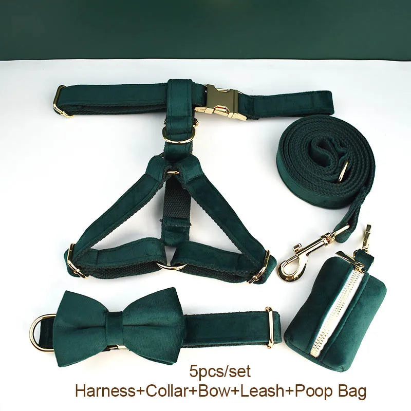 Green Velvet Personalized Dog Collar, Leash & Harness Set