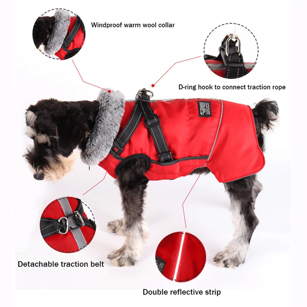 Winter Dog Jacket with Harness – Waterproof, Windproof Coat for Small & Medium Dogs