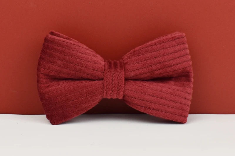 Personalized Dog Collar, Leash & Harness Set