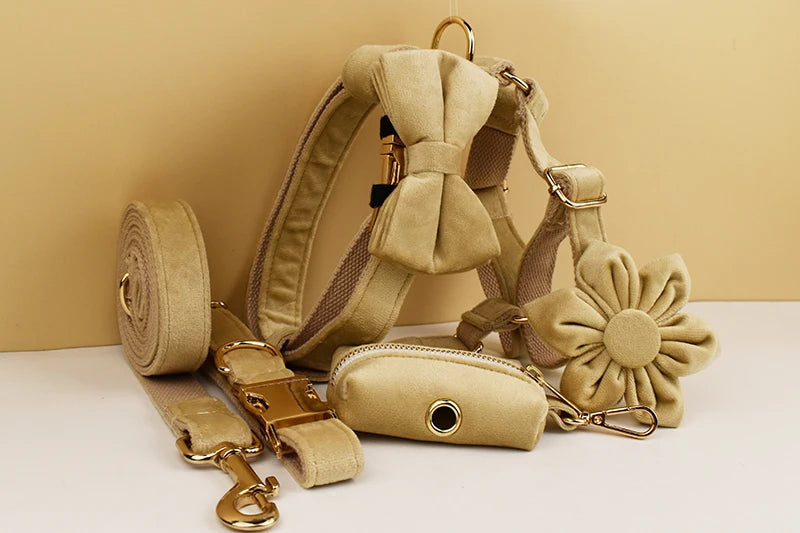 Nude Velvet Personalized Dog Collar, Leash & Harness Set