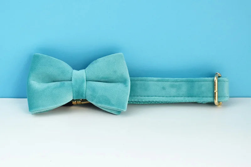 Turquoise Stone Velvet Personalized Dog Collar, Leash & Harness Set