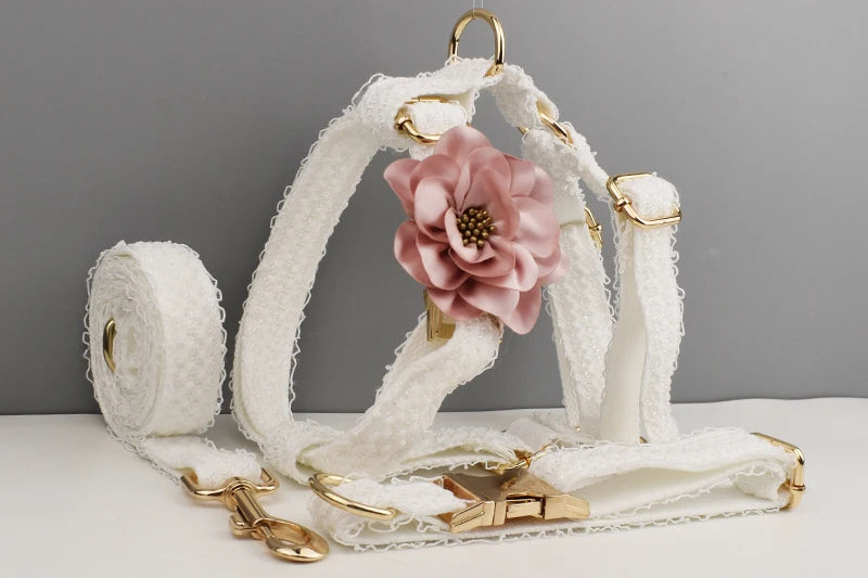 White Lace Personalized Dog Collar, Leash & Harness Set