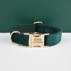 Green Velvet Personalized Dog Collar, Leash & Harness Set