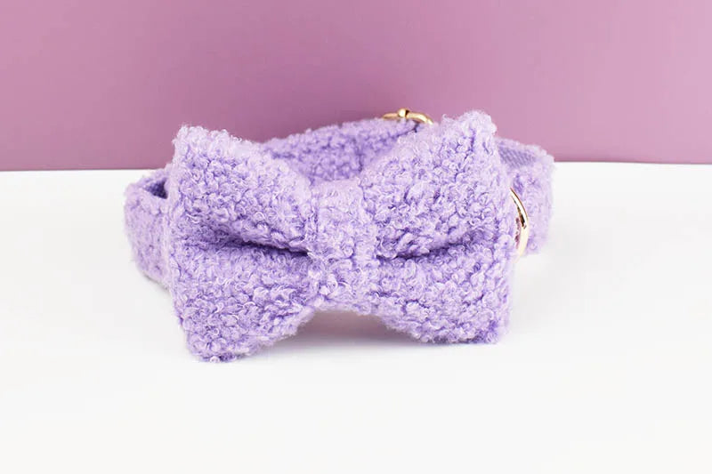 Teddy Velvet Personalized Dog Collar, Leash & Harness Set