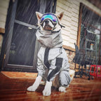 Reflective Waterproof Dog Raincoat – Lightweight Hooded Jacket for Medium & Large Dogs