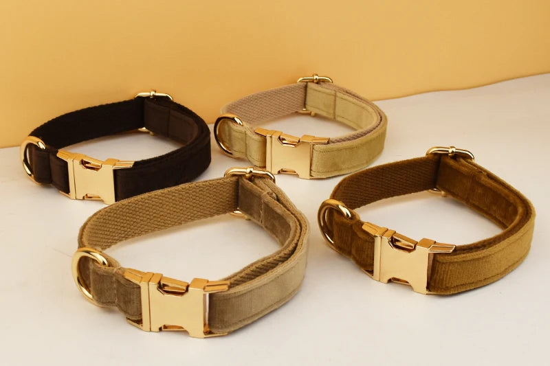 High Quality Dog Collar & Leash Set – Personalized Engraved Nameplate, Padded