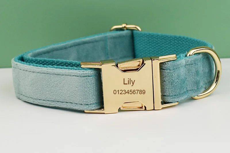 Green Velvet Personalized Dog Collar, Leash & Harness Set