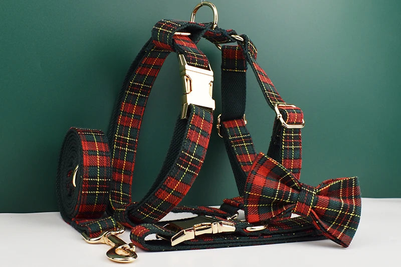Personalized Dog Collar, Leash & Harness Set