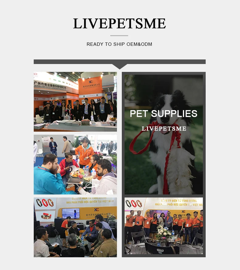 32MM Heavy-Duty Stainless Steel Dog Chain Collar – 18K Gold-Plated Choker for Large Dogs