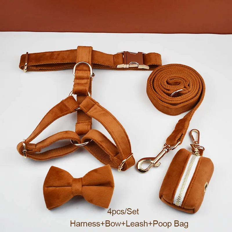 Ancient Pottery Velvet Personalized Dog Collar, Leash & Harness Set