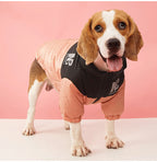 Winter Warm Dog Jacket | Thick, Windproof Coat