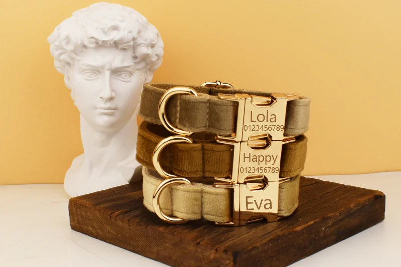 High Quality Dog Collar & Leash Set – Personalized Engraved Nameplate, Padded