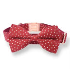 Designed Red Polka Dot Dog Vest Set