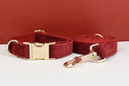 Personalized Dog Collar, Leash & Harness Set