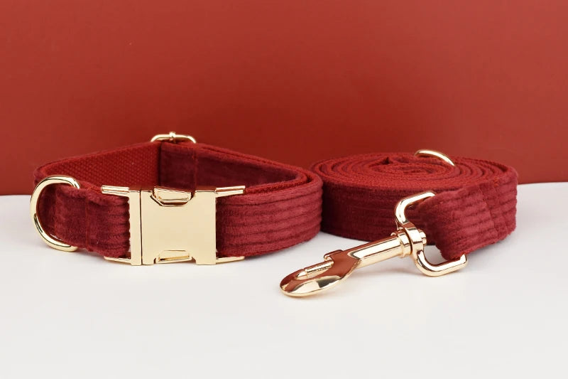 Personalized Dog Collar, Leash & Harness Set